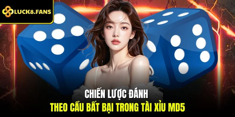 Chiến lược đánh theo cầu bất bại trong tài xỉu md5